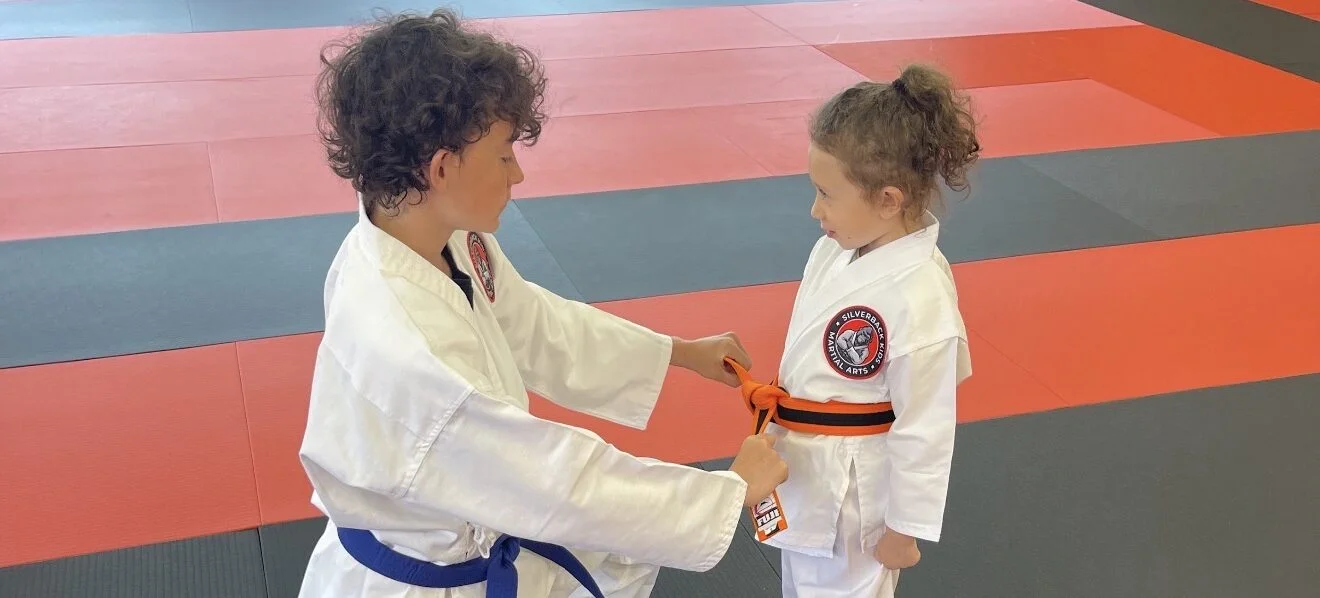 Tiny Tot Troop at Silverback Kids Martial Arts