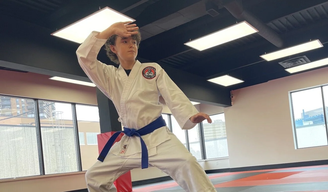 Senior Silverbacks at Silverback Kids Martial Arts